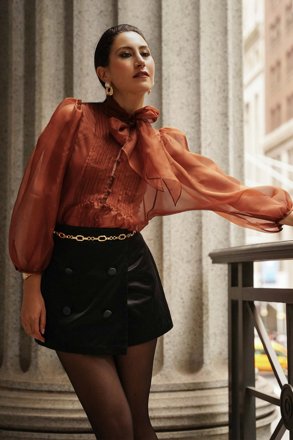 トップス STUMBLY Shear organdy blouse sheerblouse-brown-